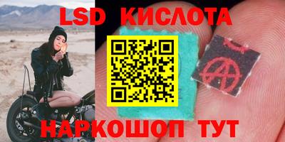 молекула духа Будённовск