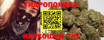 spice Бузулук