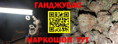 молекула духа Будённовск