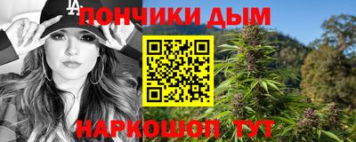 молекула духа Будённовск