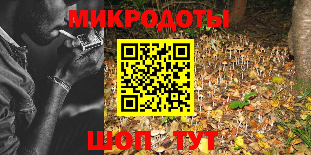 Галлюциногенные грибы мухоморы Приморско-Ахтарск