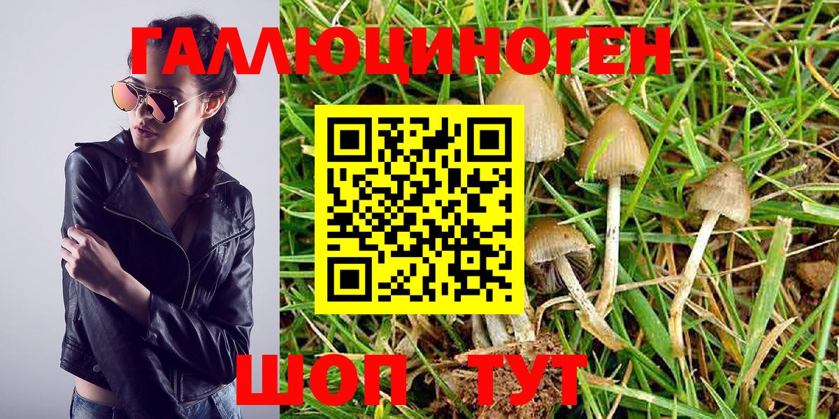 Псилоцибиновые грибы Magic Shrooms  Вход с VPN  Приморско-Ахтарск  Галлюциногенные грибы мухоморы 